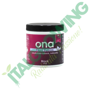 ONA Block Fruit Fusion - Eliminate Odors - (170 GR) €11.20