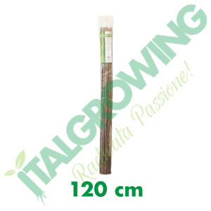 Bamboo Cane Tutor 120 CM (25 Units) 7,40 €