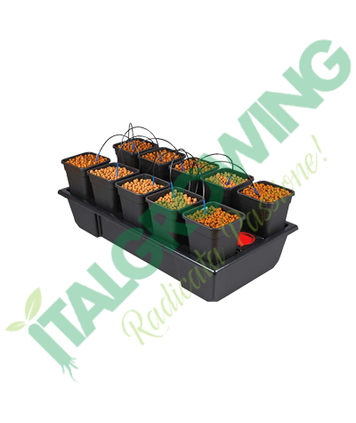 ATAMI - Wilma Grow System Small Wide 10 Cuves (6 L) 139,90 €