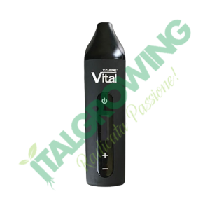 XMax Vital Vaporizer Black 65,90 €